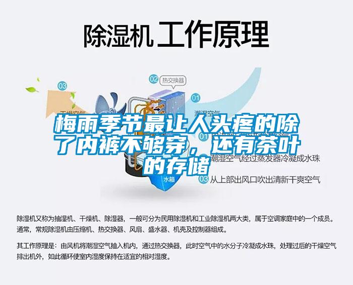 梅雨季節(jié)最讓人頭疼的除了內(nèi)褲不夠穿，還有茶葉的存儲(chǔ)