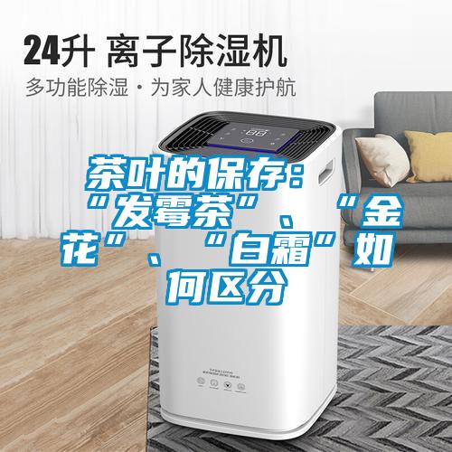 茶葉的保存：“發(fā)霉茶”、“金花”、“白霜”如何區(qū)分