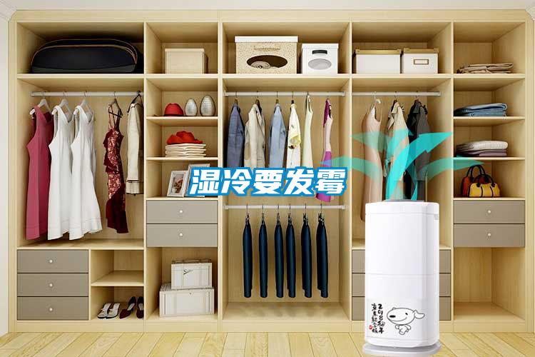 濕冷要發霉