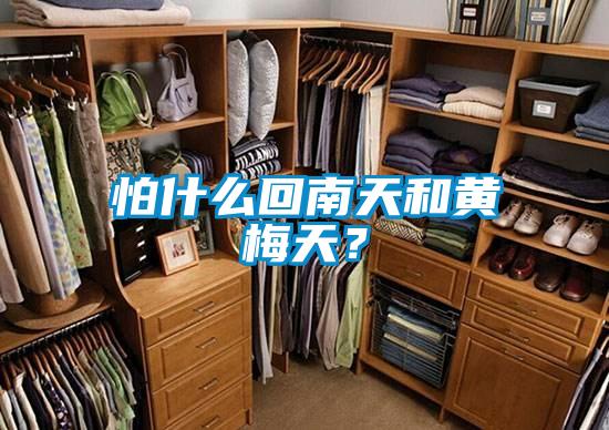 怕什么回南天和黃梅天？