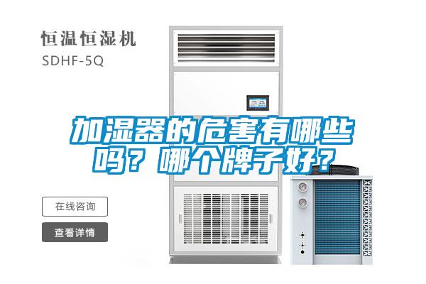 加濕器的危害有哪些嗎？哪個牌子好？