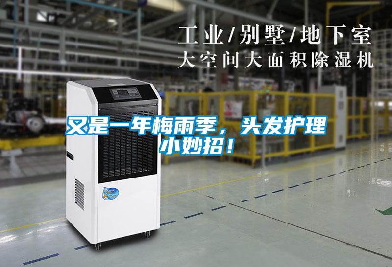 又是一年梅雨季，頭發(fā)護(hù)理小妙招！