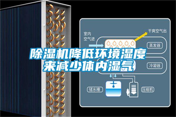 除濕機(jī)降低環(huán)境濕度來(lái)減少體內(nèi)濕氣