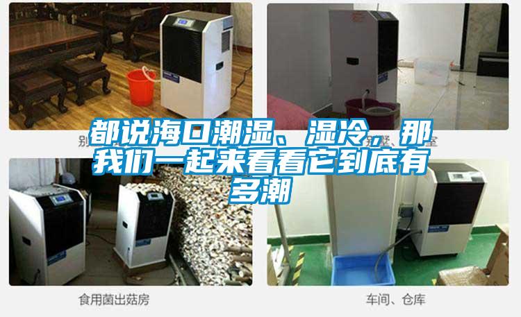 都說?？诔睗瘛窭?，那我們一起來看看它到底有多潮