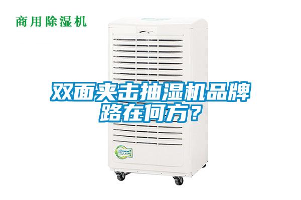 雙面夾擊抽濕機品牌路在何方？