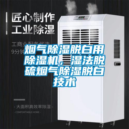 煙氣除濕脫白用除濕機，濕法脫硫煙氣除濕脫白技術