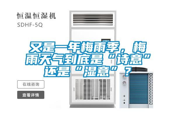 又是一年梅雨季，梅雨天氣到底是“詩意”還是“濕意”？