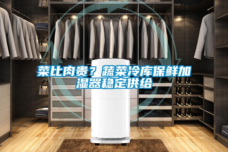 菜比肉貴？蔬菜冷庫保鮮加濕器穩定供給