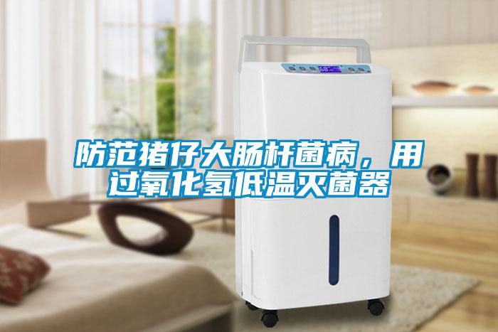 防范豬仔大腸桿菌病，用過氧化氫低溫滅菌器