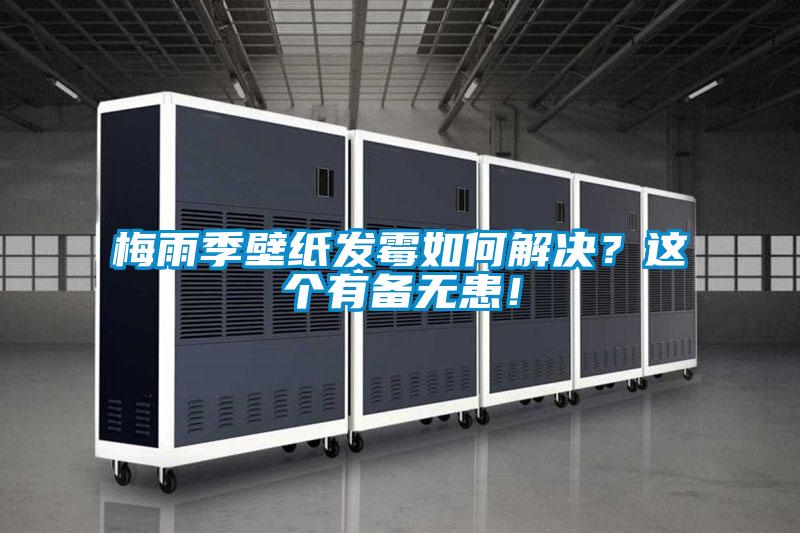 梅雨季壁紙發(fā)霉如何解決？這個有備無患！