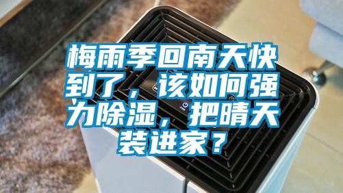梅雨季回南天快到了，該如何強力除濕，把晴天裝進家？