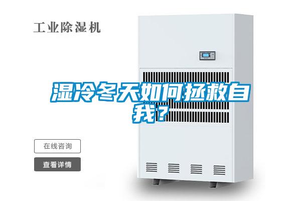 濕冷冬天如何拯救自我？