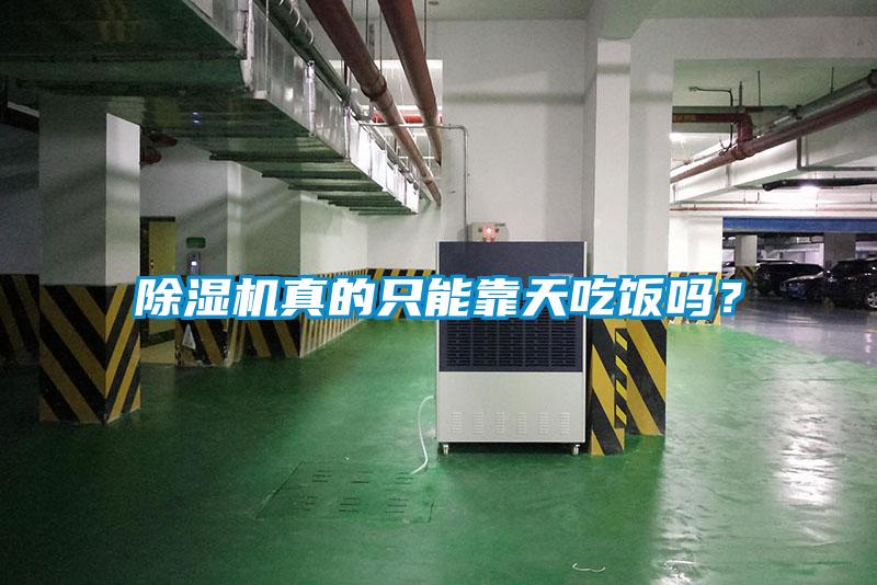 除濕機真的只能靠天吃飯嗎？