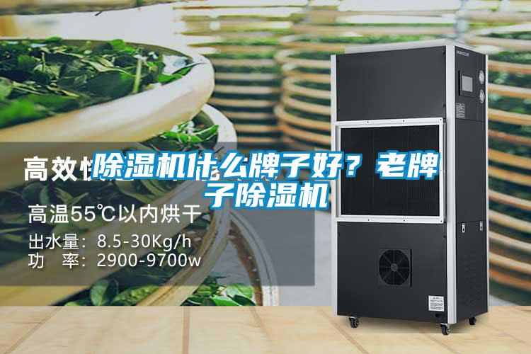 除濕機什么牌子好？老牌子除濕機