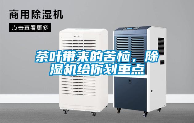 茶葉帶來的苦惱，除濕機給你劃重點