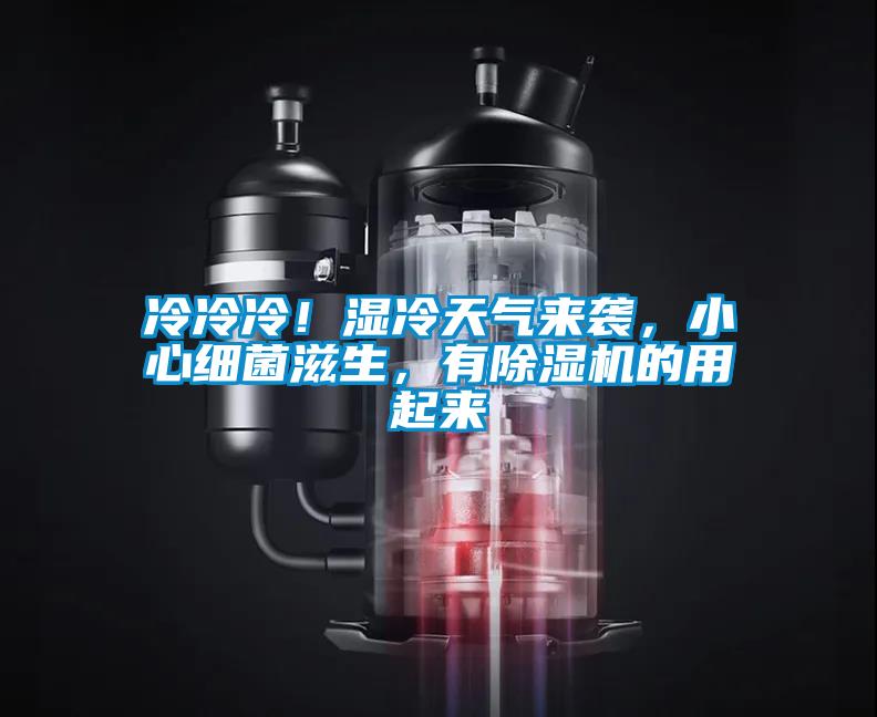 冷冷冷！濕冷天氣來襲，小心細菌滋生，有除濕機的用起來