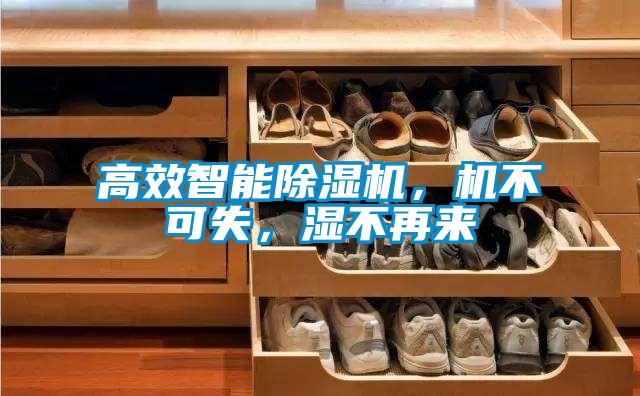 高效智能除濕機(jī)，機(jī)不可失，濕不再來(lái)