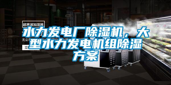 水力發電廠除濕機，大型水力發電機組除濕方案