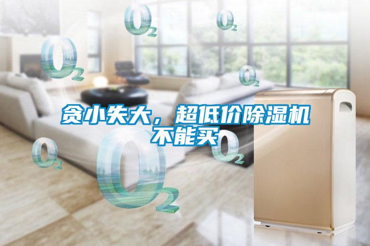 貪小失大，超低價(jià)除濕機(jī)不能買