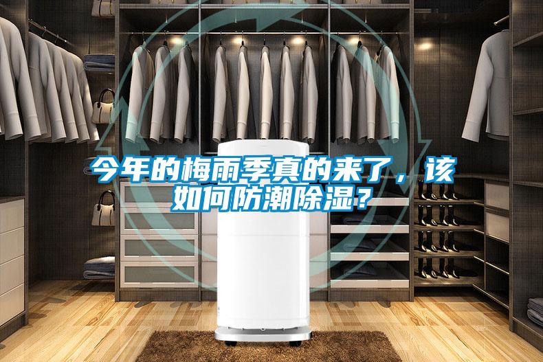 今年的梅雨季真的來了，該如何防潮除濕？