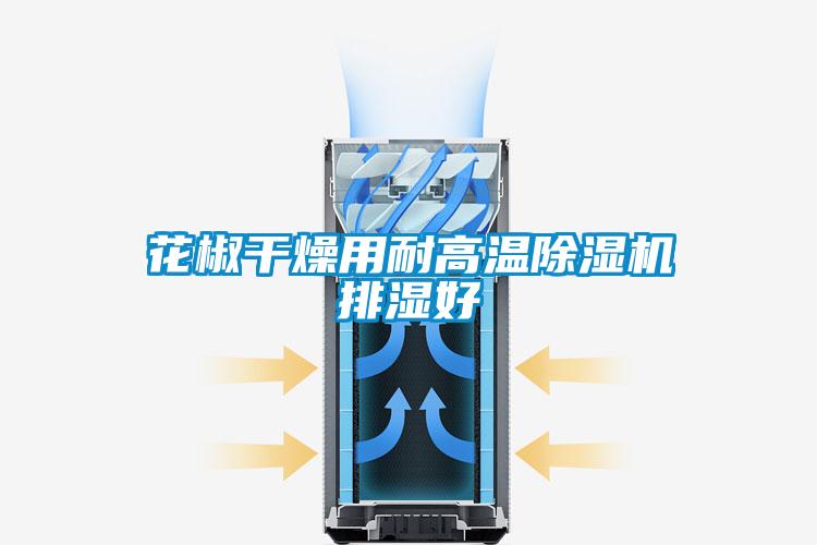 花椒干燥用耐高溫除濕機排濕好