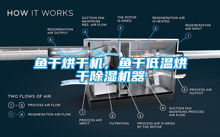魚干烘干機，魚干低溫烘干除濕機器