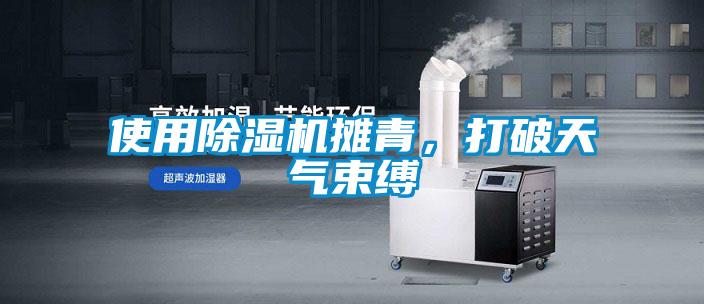 使用除濕機攤青，打破天氣束縛