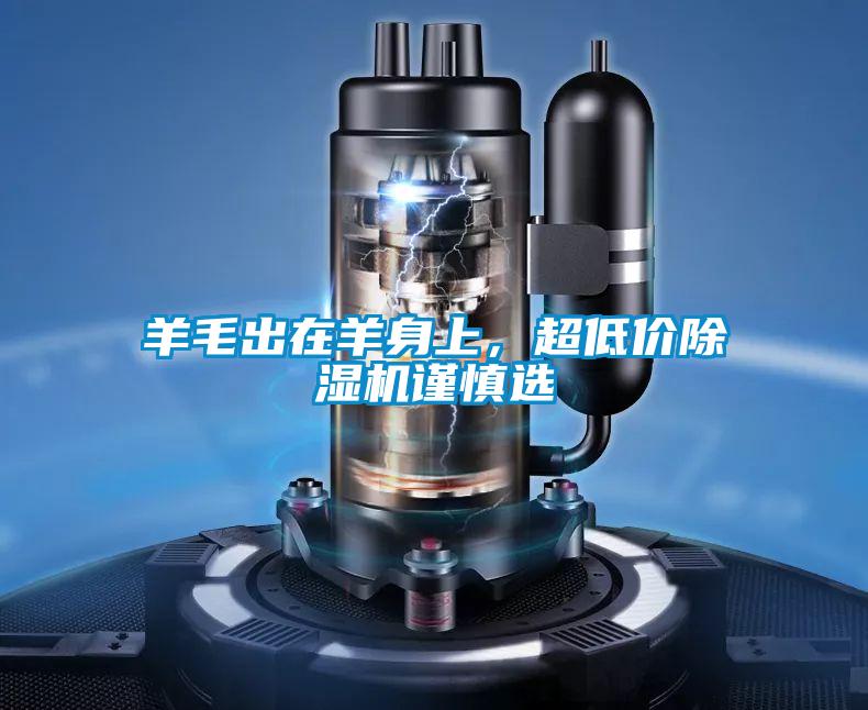 羊毛出在羊身上，超低價除濕機謹慎選