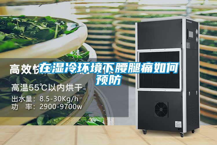 在濕冷環境下腰腿痛如何預防