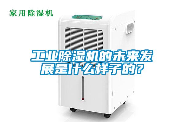 工業除濕機的未來發展是什么樣子的？