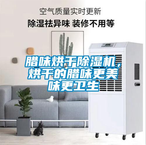 臘味烘干除濕機，烘干的臘味更美味更衛生