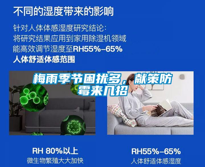 梅雨季節困擾多，獻策防霉來幾招