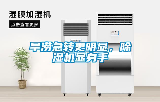 旱澇急轉更明顯，除濕機顯身手