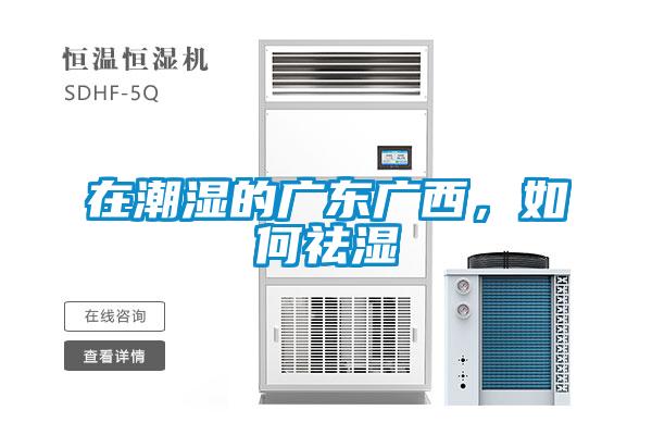 在潮濕的廣東廣西，如何祛濕