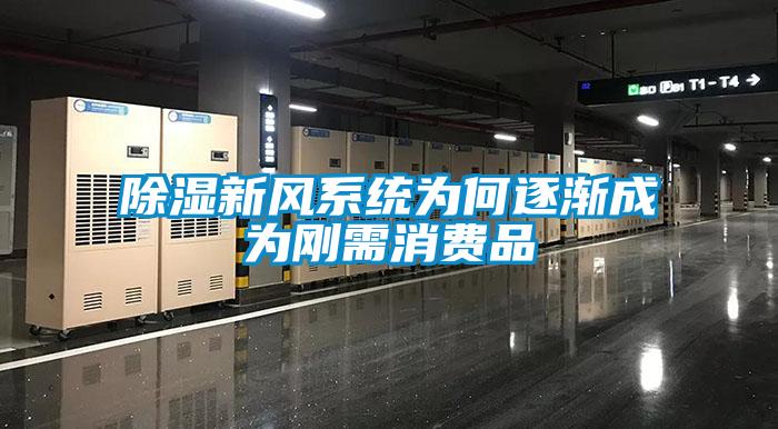 除濕新風系統為何逐漸成為剛需消費品