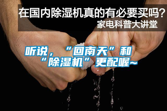 聽說，“回南天”和“除濕機”更配喔~