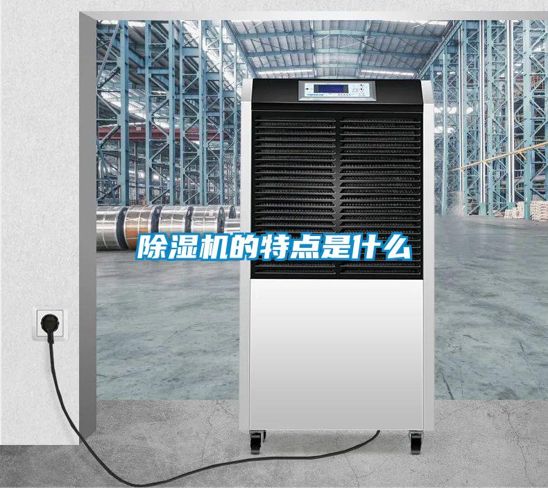 除濕機(jī)的特點是什么