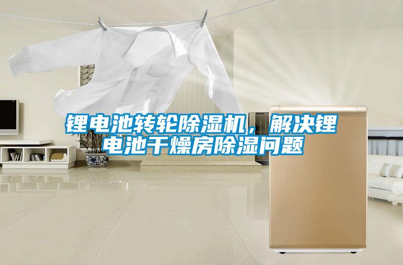 鋰電池轉(zhuǎn)輪除濕機(jī)，解決鋰電池干燥房除濕問題