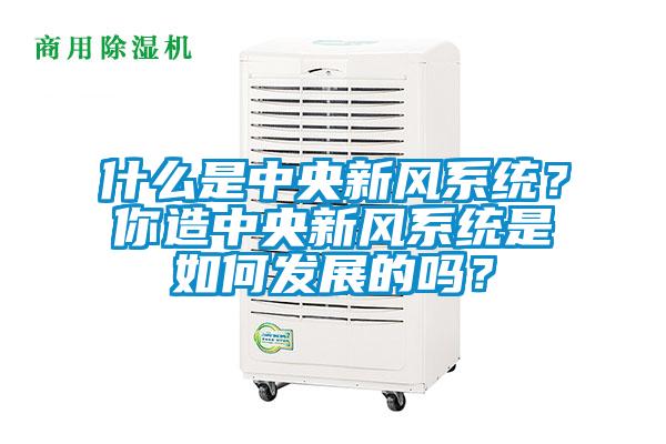 什么是中央新風系統？你造中央新風系統是如何發展的嗎？