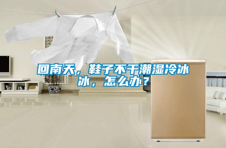 回南天，鞋子不干潮濕冷冰冰，怎么辦？