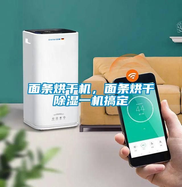 面條烘干機(jī)，面條烘干除濕一機(jī)搞定