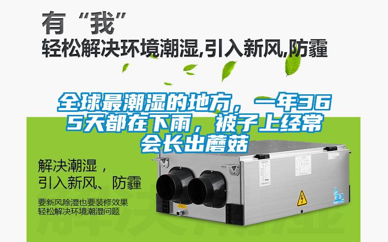全球最潮濕的地方，一年365天都在下雨，被子上經常會長出蘑菇