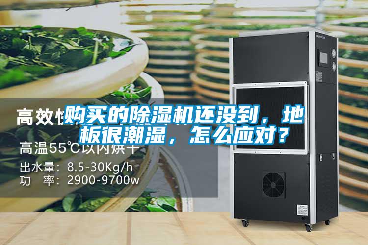 購買的除濕機還沒到，地板很潮濕，怎么應對？