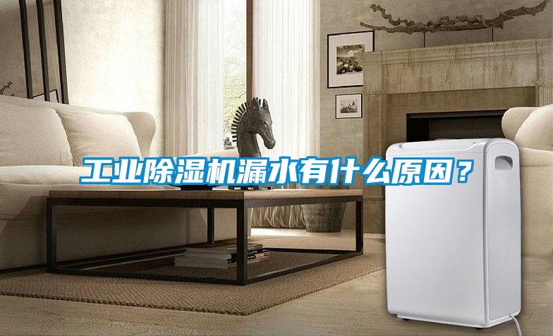 工業(yè)除濕機漏水有什么原因？