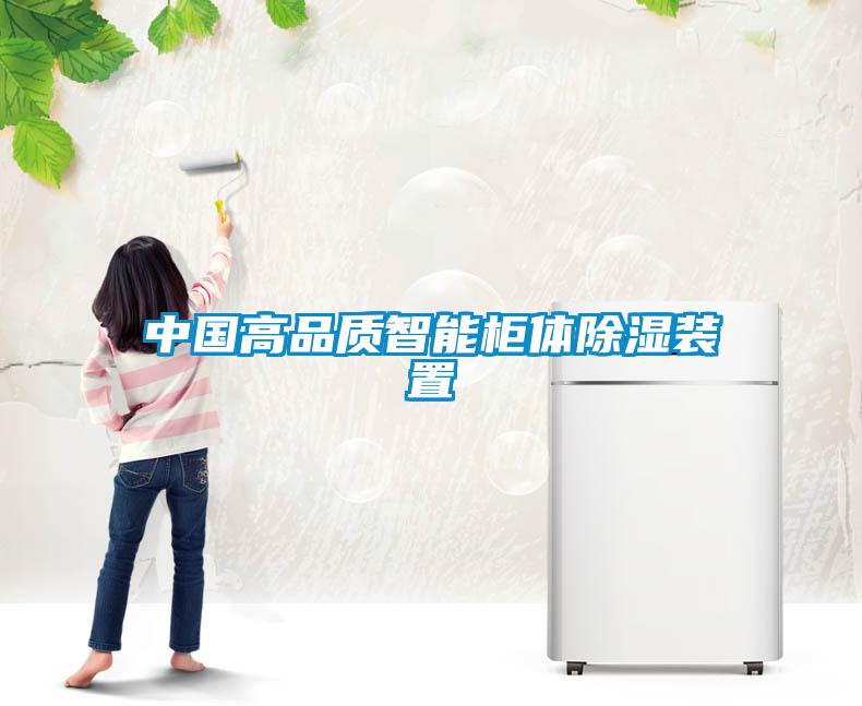 中國高品質(zhì)智能柜體除濕裝置