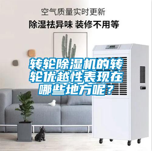 轉輪除濕機的轉輪優越性表現在哪些地方呢？