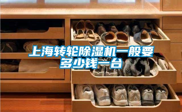 上海轉輪除濕機一般要多少錢一臺