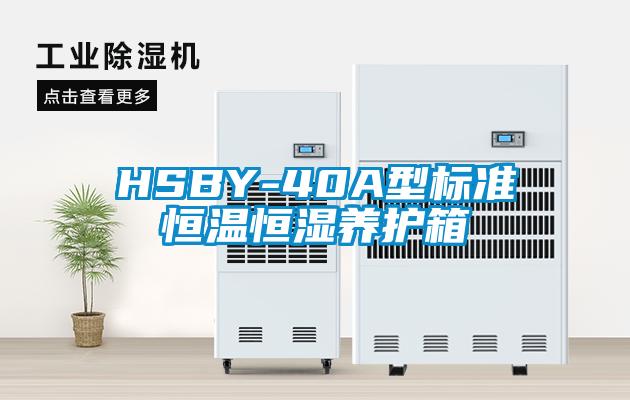 HSBY-40A型標準恒溫恒濕養護箱