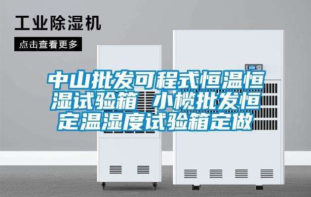 中山批發可程式恒溫恒濕試驗箱 小欖批發恒定溫濕度試驗箱定做