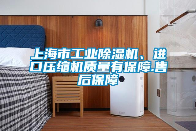 上海市工業除濕機、進口壓縮機質量有保障.售后保障